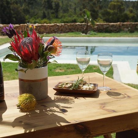 Stellar Overberg Travellers Lodge Napier Екстериор снимка