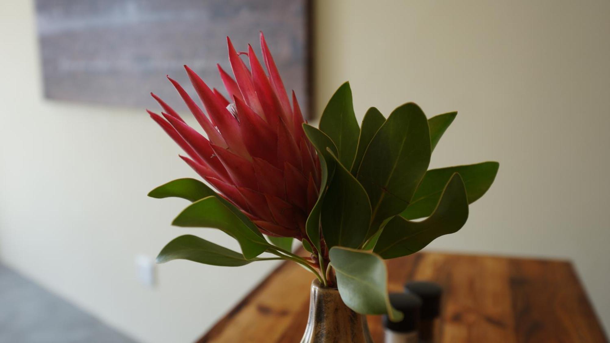 Stellar Overberg Travellers Lodge Napier Екстериор снимка