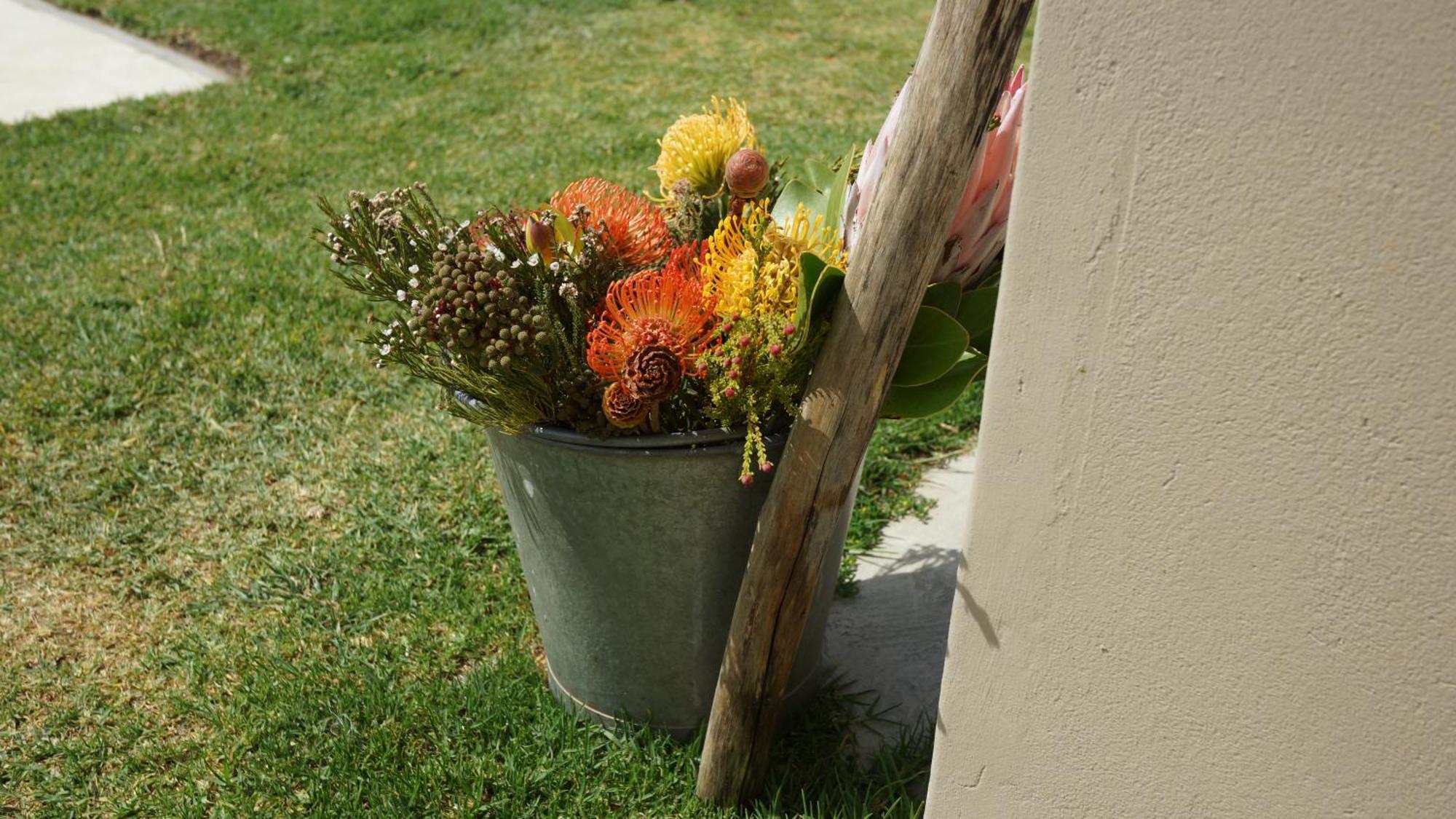 Stellar Overberg Travellers Lodge Napier Екстериор снимка