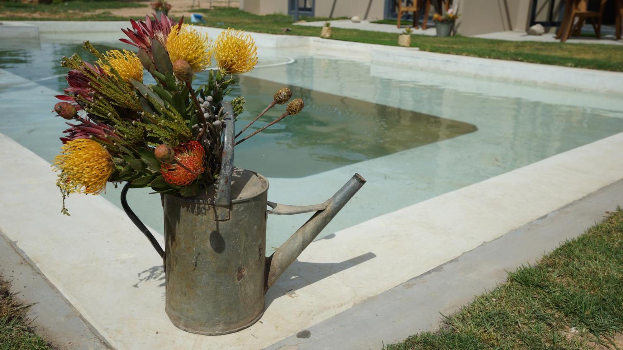 Stellar Overberg Travellers Lodge Napier Екстериор снимка