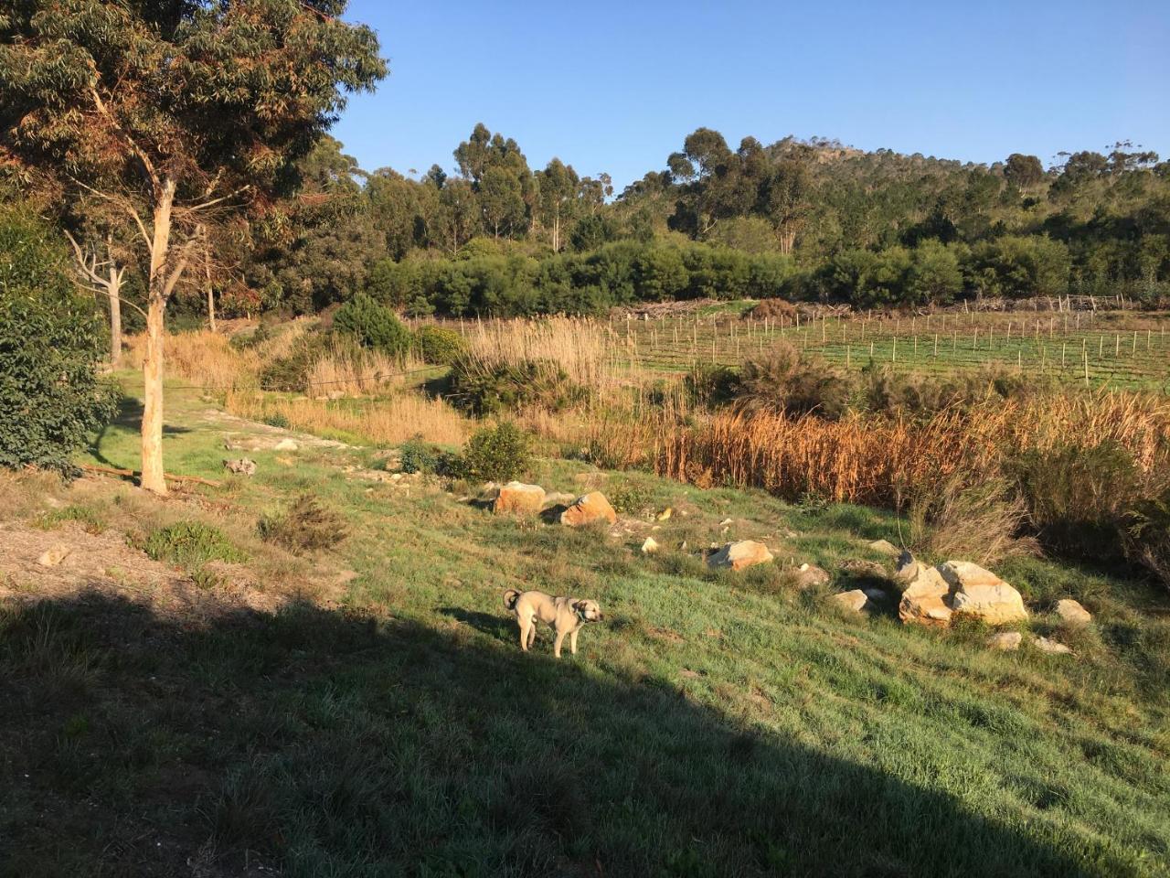 Stellar Overberg Travellers Lodge Napier Екстериор снимка