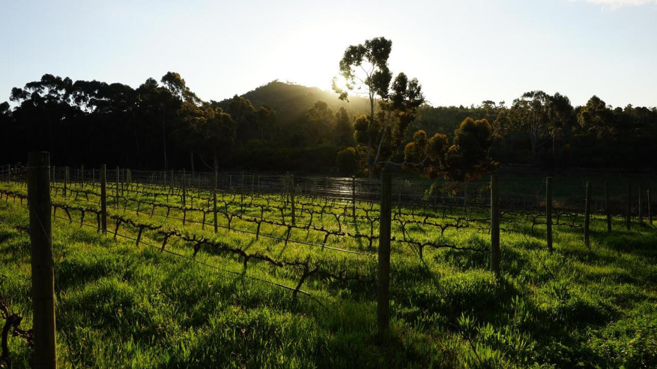 Stellar Overberg Travellers Lodge Napier Екстериор снимка