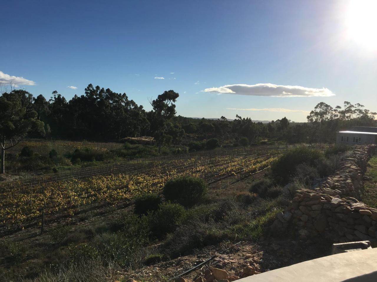 Stellar Overberg Travellers Lodge Napier Екстериор снимка