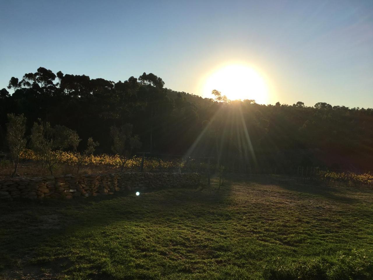 Stellar Overberg Travellers Lodge Napier Екстериор снимка