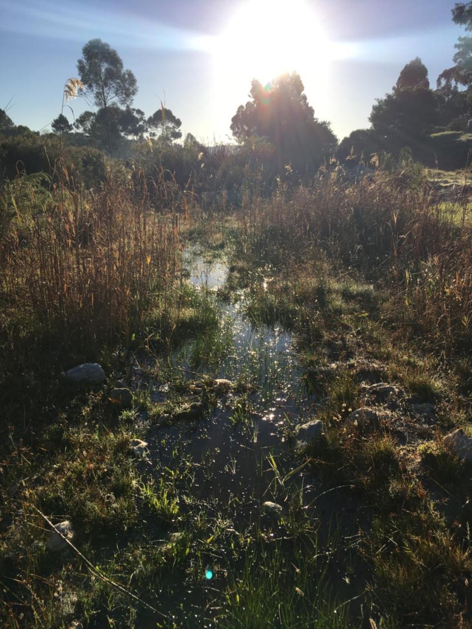 Stellar Overberg Travellers Lodge Napier Екстериор снимка