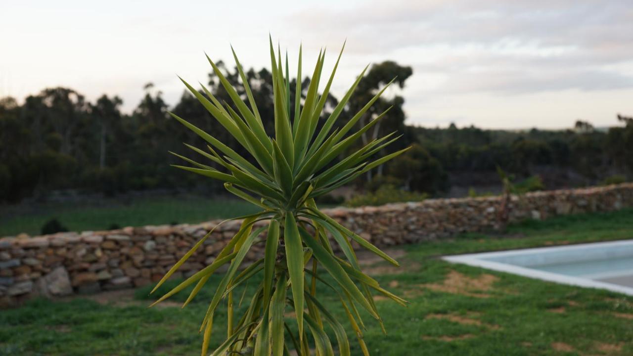 Stellar Overberg Travellers Lodge Napier Екстериор снимка