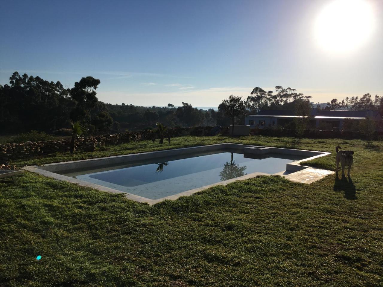 Stellar Overberg Travellers Lodge Napier Екстериор снимка
