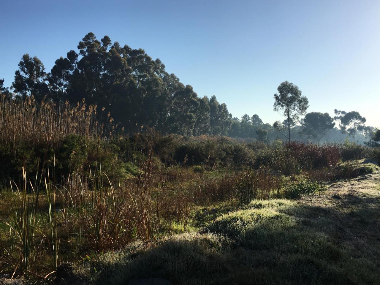 Stellar Overberg Travellers Lodge Napier Екстериор снимка