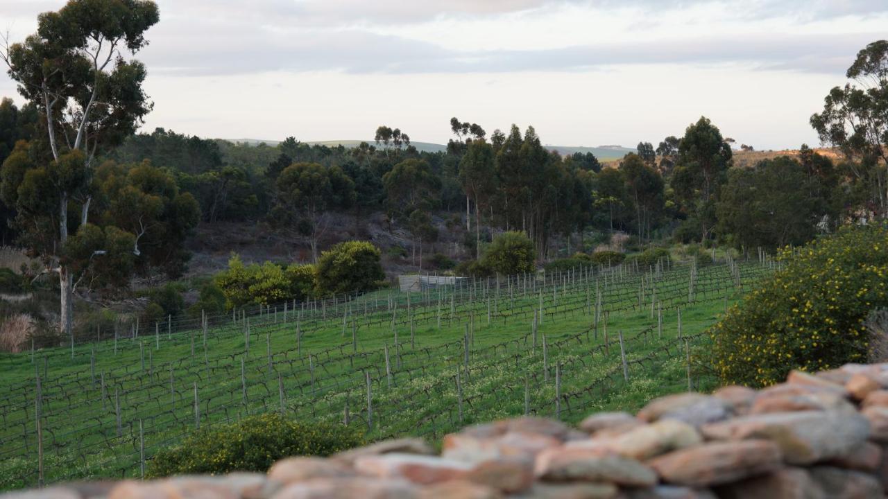 Stellar Overberg Travellers Lodge Napier Екстериор снимка